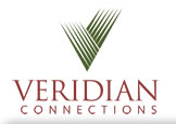 Veridian logo corporate.jpg